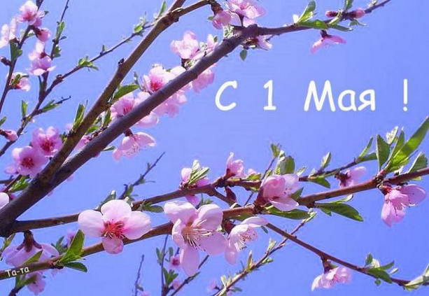 Поздравляем с майскими праздниками!